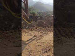 水力型 ウイリング掘削機 五爪木材取材機 掘削機用スーツ